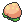 pecha berry